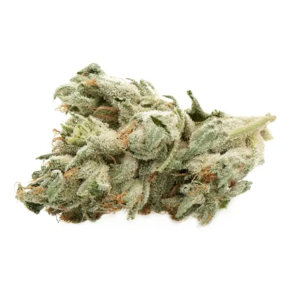 D. Bubba (Dried Flower) by Namaste