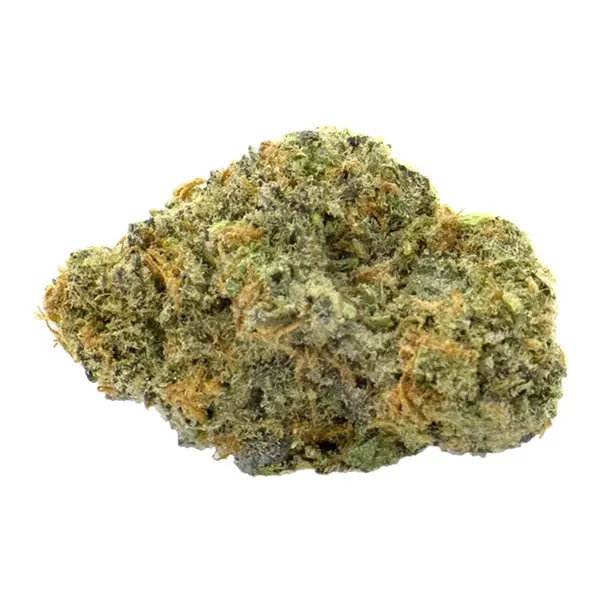 Bud image for Dark Helmet, cannabis dried flower by JWC