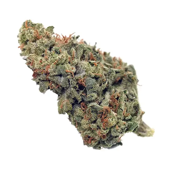 Product image for Dark Star, Cannabis Flower by High Tide