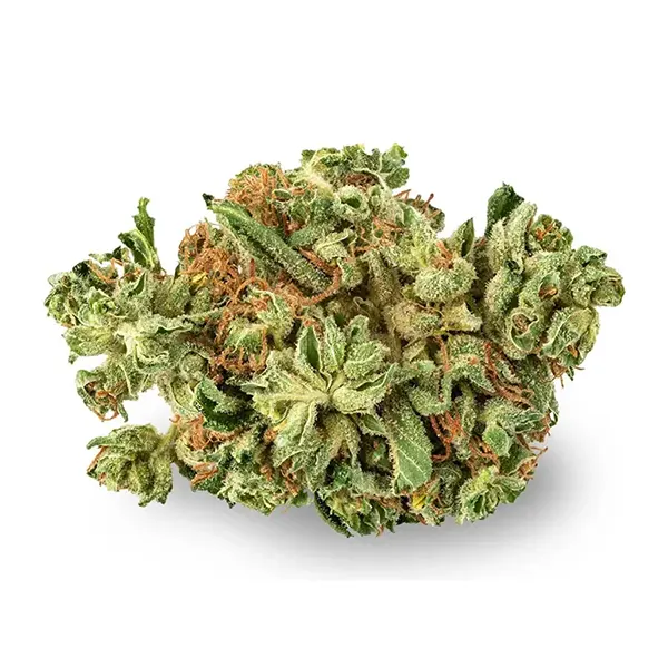 Product image for Dayshift, Cannabis Flower by Kingsway