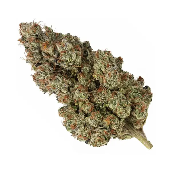 Bud image for Up in the Sky (Denman), cannabis all categories by Broken Coast