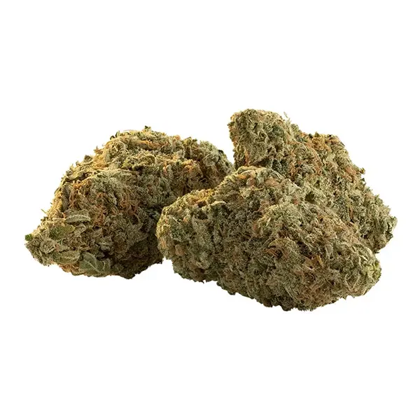 Product image for Flicker Buds, Cannabis Flower by Trailblazer