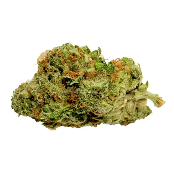 Bud image for Grower's Choice Hybrid, cannabis all categories by Good Supply