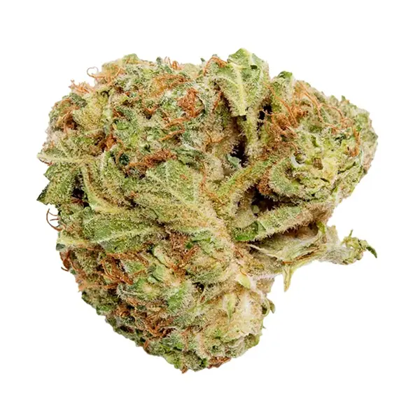 Grower's Choice Indica (Dried Flower) by Good Supply