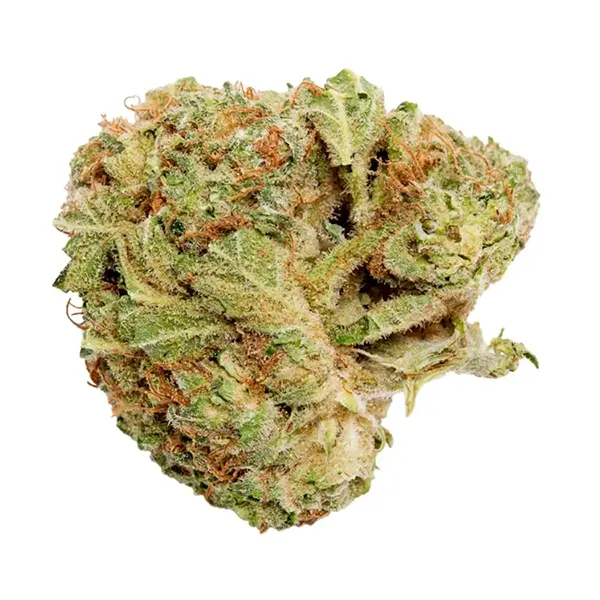 Bud image for Grower's Choice Indica, cannabis all products by Good Supply