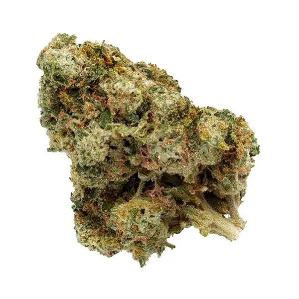 Product image for GSC, Cannabis Flower by Top Leaf