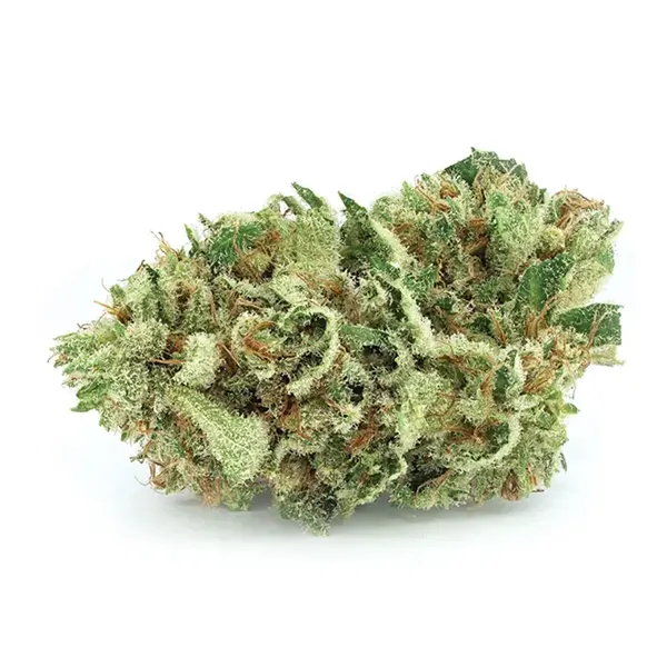 Product image for Harlequin, Cannabis Flower by Tantalus Labs