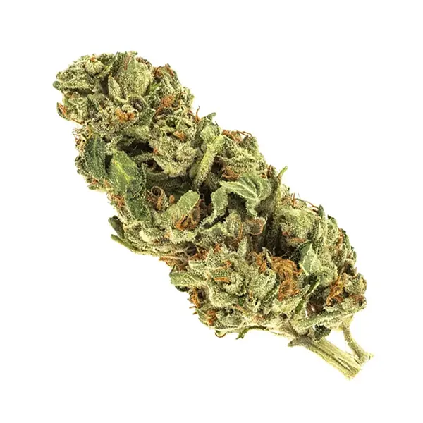 Bud image for Hawaii Heartbreak, cannabis all categories by RIFF