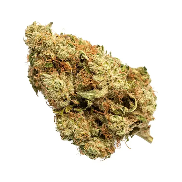 Bud image for Indica, cannabis dried flower by Grasslands