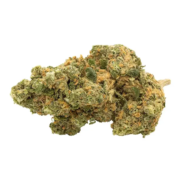 Product image for Island Sweet Skunk, Cannabis Flower by San Rafael '71