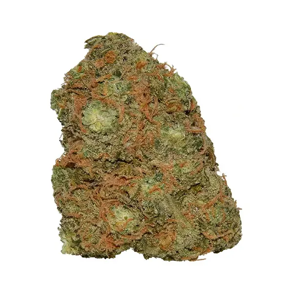 Lemon Z (Dried Flower) by Weed Me