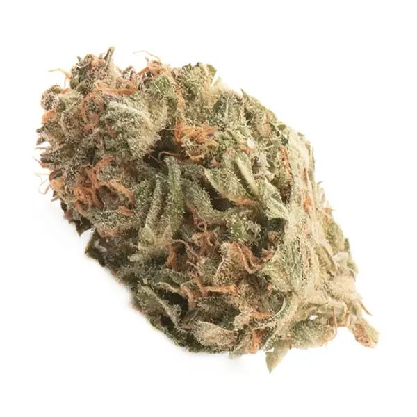 Product image for MK Ultra, Cannabis Flower by Namaste