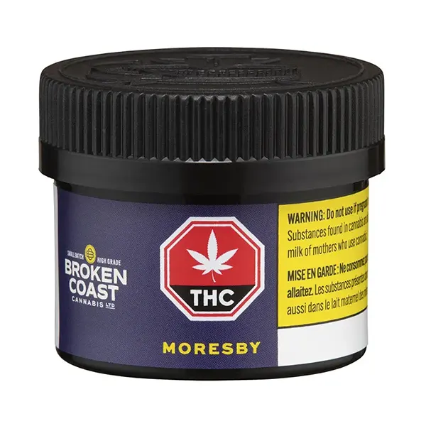 Moresby (Dried Flower) by Broken Coast