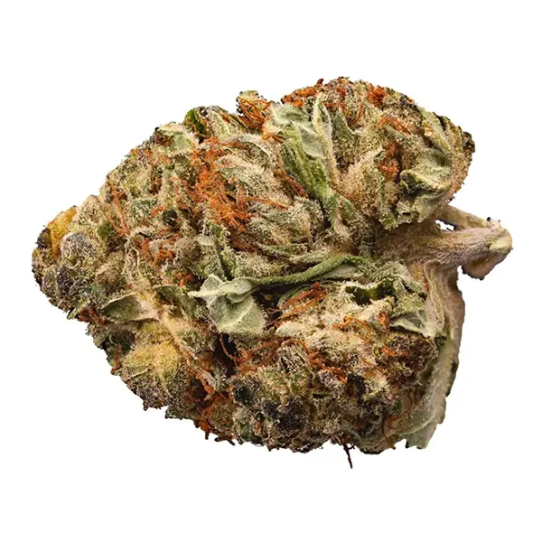 Bud image for Nightshift, cannabis dried flower by Kingsway