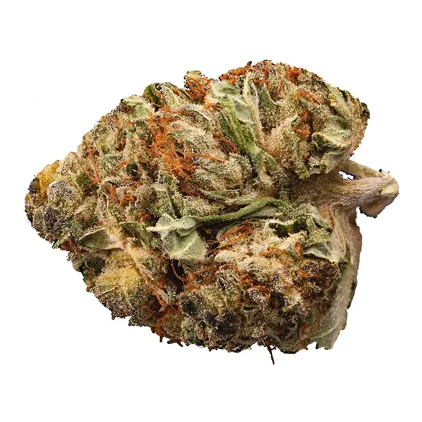 Product image for Nightshift, Cannabis Flower by Kingsway