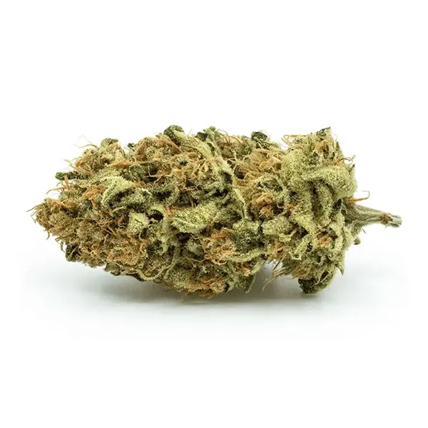 Bud image for Outlaw, cannabis dried flower by Redecan