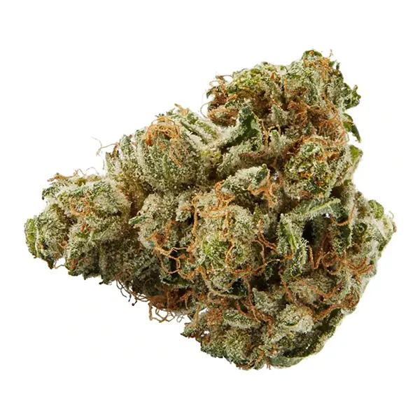 Pink Kush