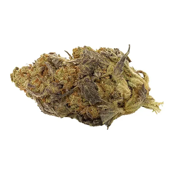 Siren (Dried Flower) by ANKR Organics