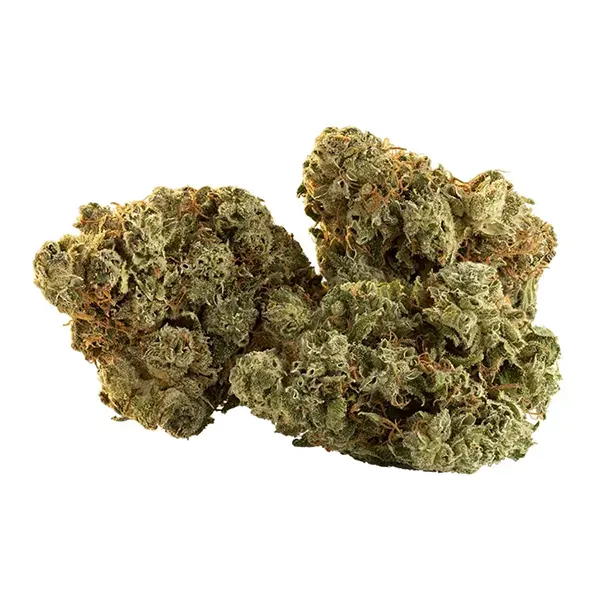 Bud image for Spark Buds, cannabis dried flower by Trailblazer
