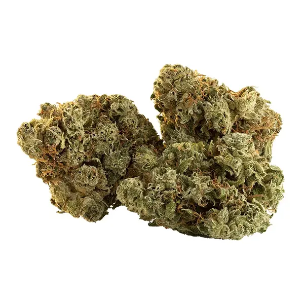 Product image for Spark Buds, Cannabis Flower by Trailblazer