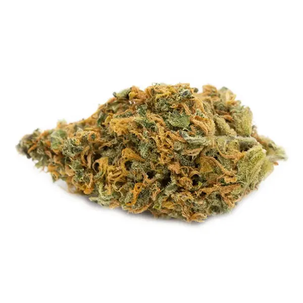 Product image for Strain Hunters White Lemon, Cannabis Flower by Thumbs Up
