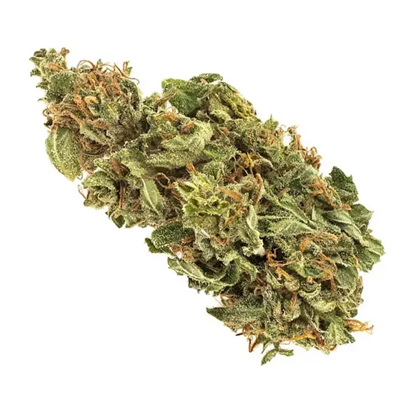 Product image for Sweet Jersey 3, Cannabis Flower by RIFF