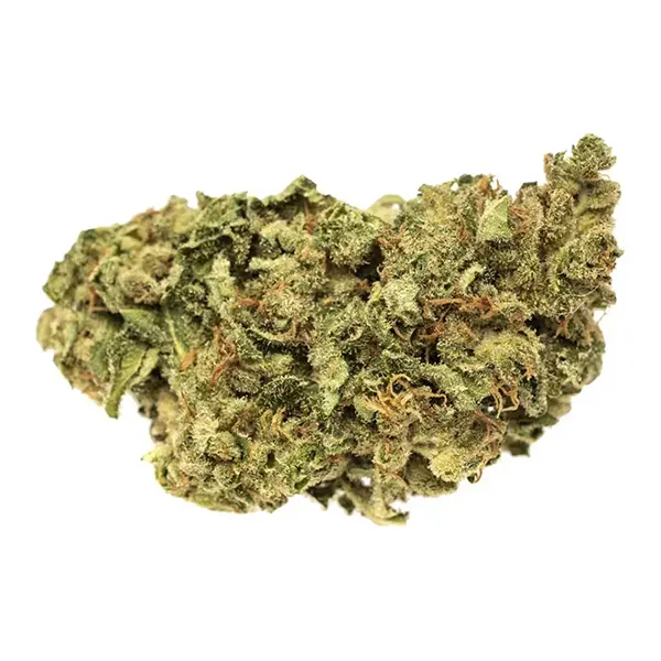 Product image for Two-Tone Ban, Cannabis Flower by RIFF