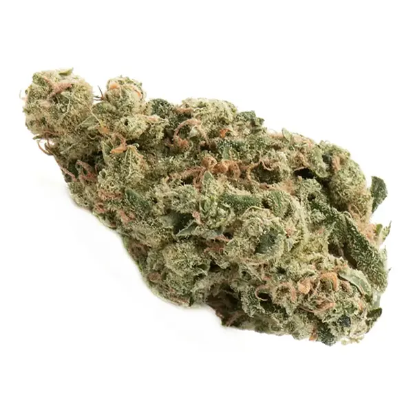 Ultra Sour (Dried Flower) by Namaste
