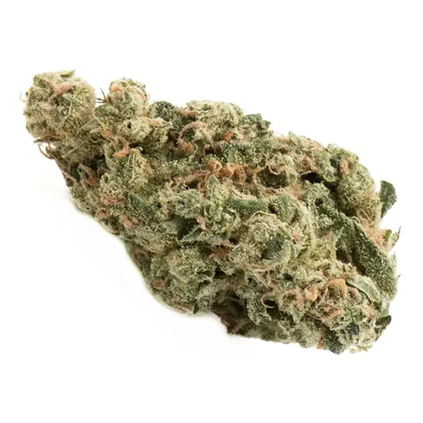 Bud image for Ultra Sour, cannabis dried flower by Namaste