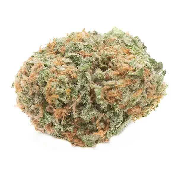 Bud image for Wappa, cannabis dried flower by Namaste