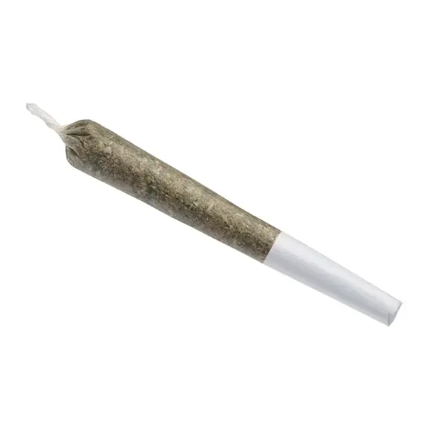 Product image for Dayshift Pre-Roll, Cannabis Flower by Kingsway