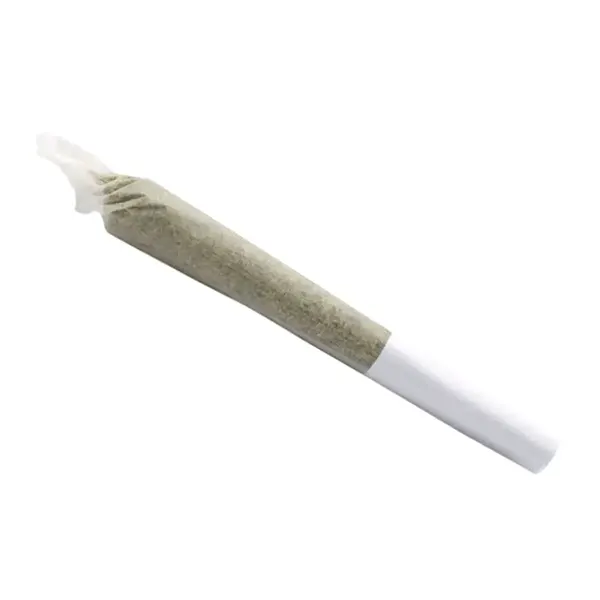 Product image for Hash Plant GE Pre-Roll, Cannabis Flower by JWC