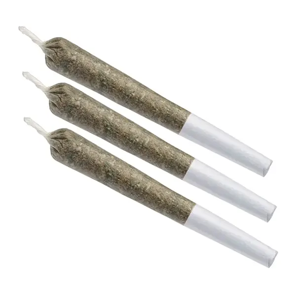 Indica | Kosher ..