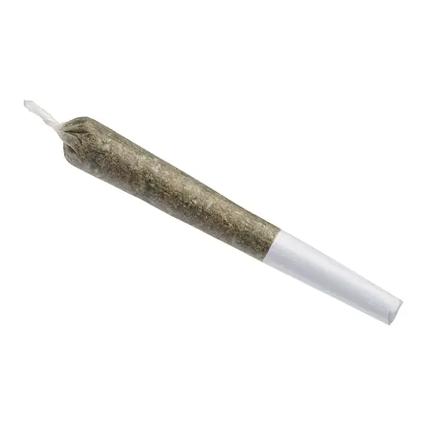 Image for Nightshift Pre-Roll, cannabis all categories by Kingsway