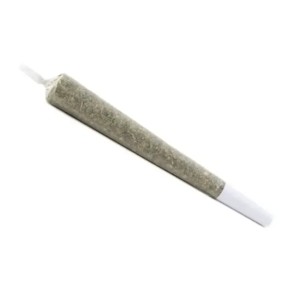 Product image for Sensi Star Pre-Roll, Cannabis Flower by Fireside