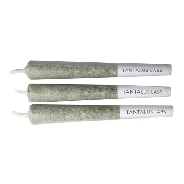 Sky Pilot Pre-Roll