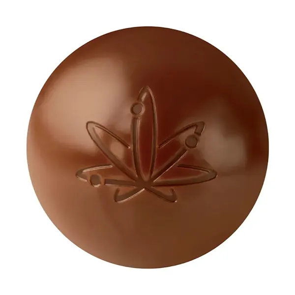 Milk Truffles Mega Byte (Chocolates) by Edison Sonics