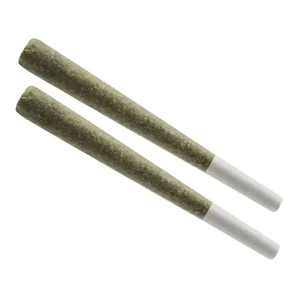 Image for Jack Haze Pre-Roll, cannabis pre-rolls by 7Acres