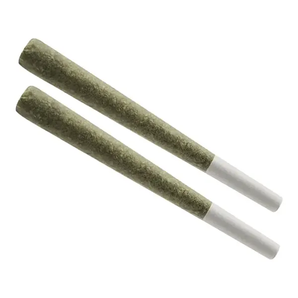 Jack Haze Pre-Ro..