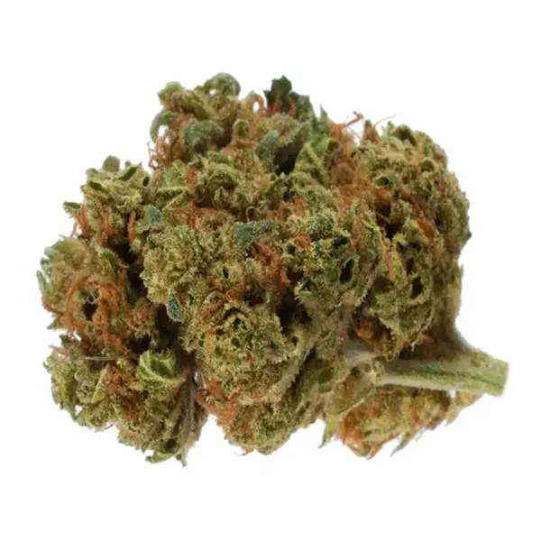 Bud image for 8 Ball Kush, cannabis dried flower by 18twelve