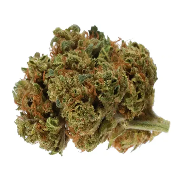 Product image for 8 Ball Kush, Cannabis Flower by 18twelve