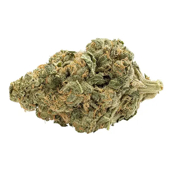 Bag of Weed - Indica (Dried Flower) by Buds