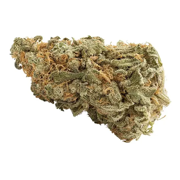 Product image for Blueberry x Haze, Cannabis Flower by Buds