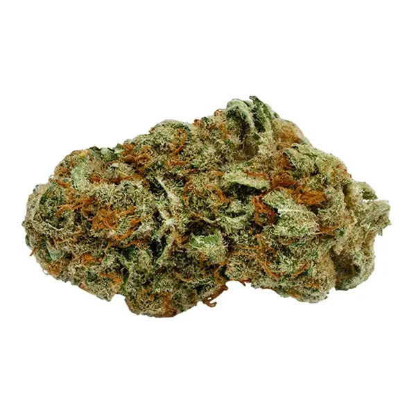 Product image for Balance 1:1, Cannabis Flower by Pure Sunfarms