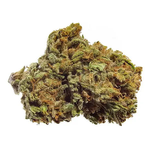Product image for BC Organic Charlotte CBD, Cannabis Flower by Simply Bare
