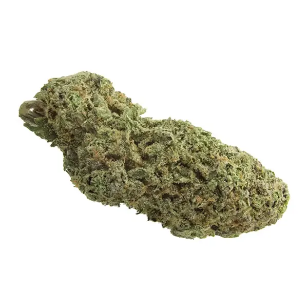 BC Organic Sour Cookies