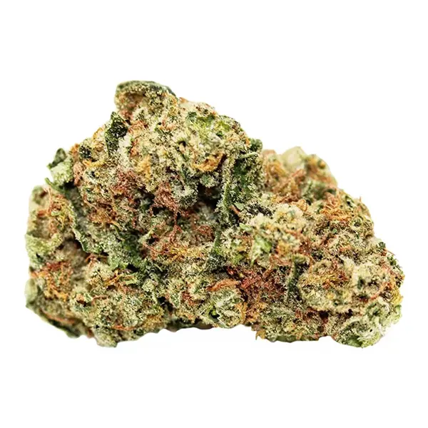 Product image for Blue Dream, Cannabis Flower by Spinach