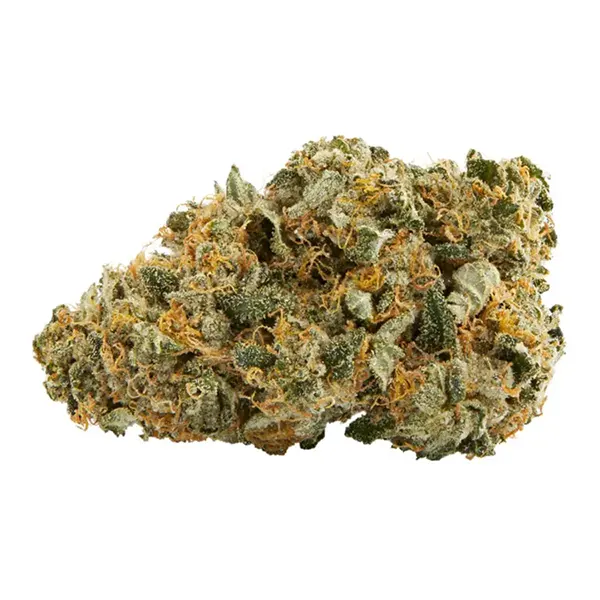 Bubba (Dried Flower) by Top Leaf