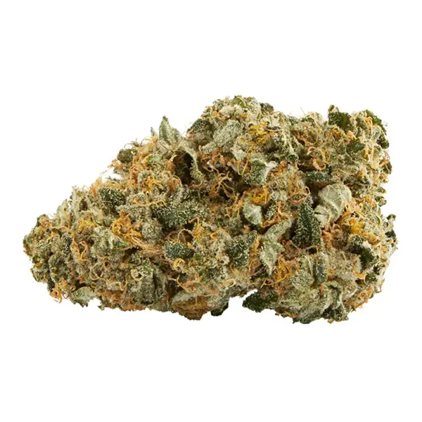 Bud image for Bubba, cannabis dried flower by Top Leaf