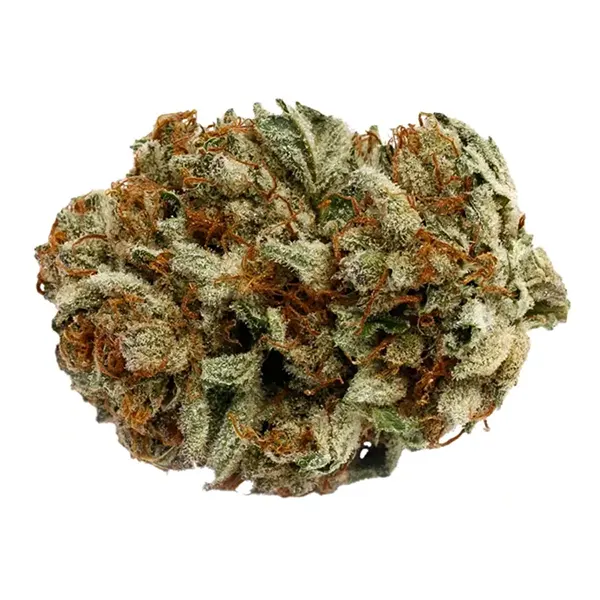 Bud image for D. Bubba, cannabis dried flower by Pure Sunfarms